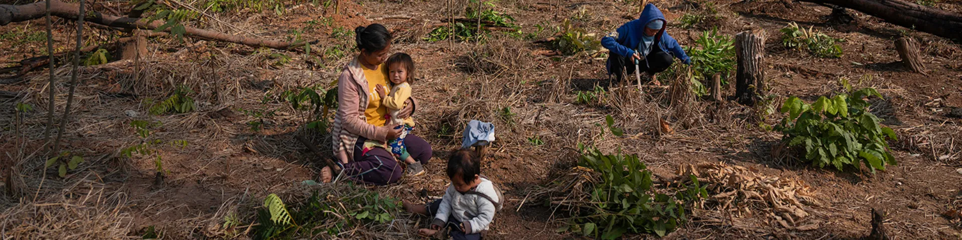 P 5 farmland MAG 227 Laos2020 COL