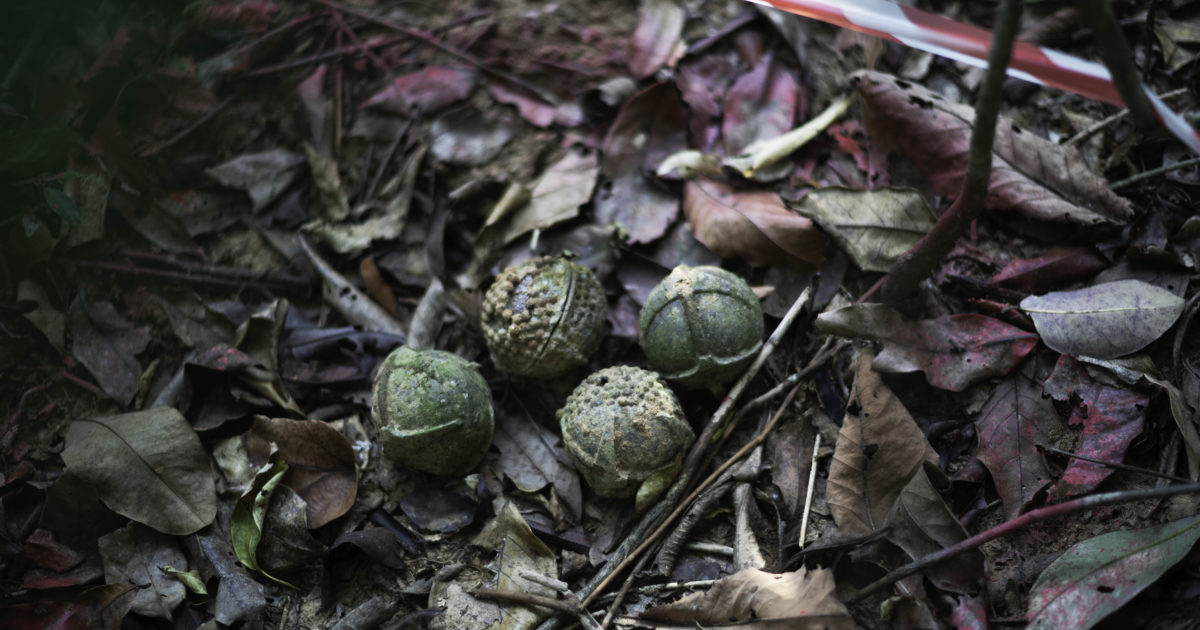 Norwegian People’s Aid condemns alleged use of cluster munitions in…