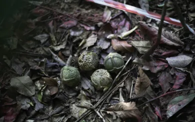 P 5 cluster munition remnant MAG 224 Laos2020 COL