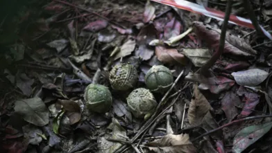 P 5 cluster munition remnant MAG 224 Laos2020 COL