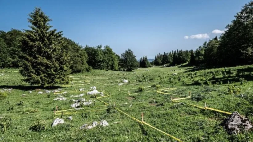 Minefield Working Lanes 768x432
