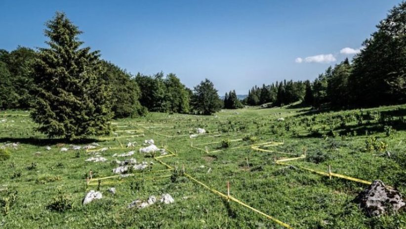 Minefield Working Lanes 768x432