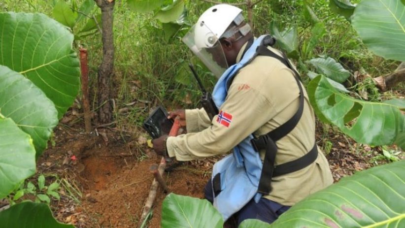 Team Leader Zimbabwe 768x432