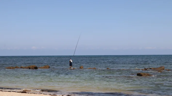 231 NTS Commences in South Lebanon 7