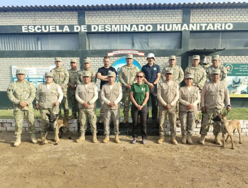 PIC 4 HD training