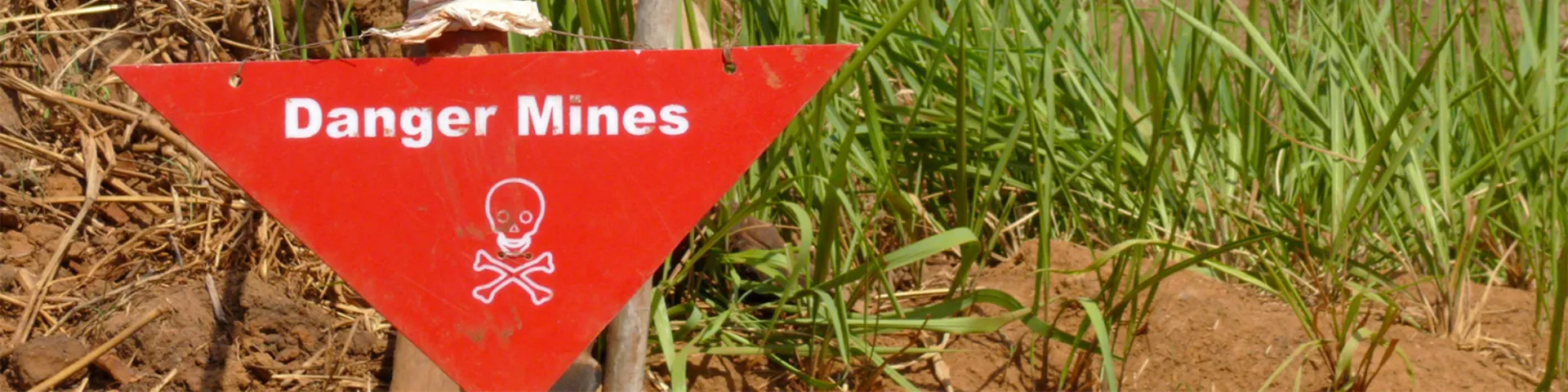 Danger Mines