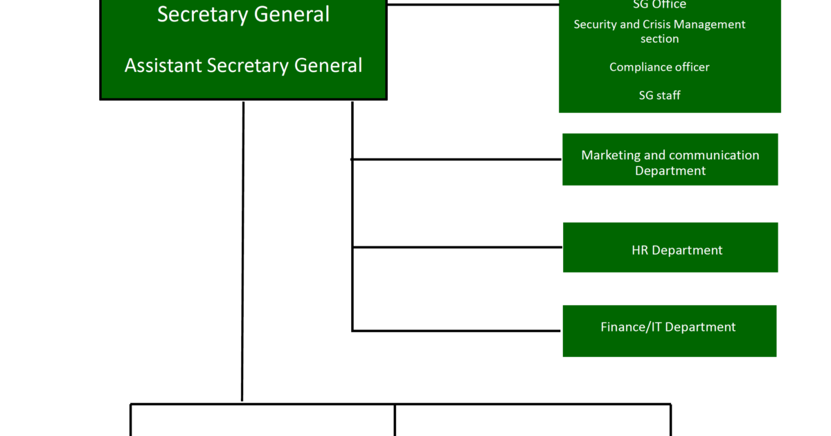 Norwegian People's Aid Organisational Chart