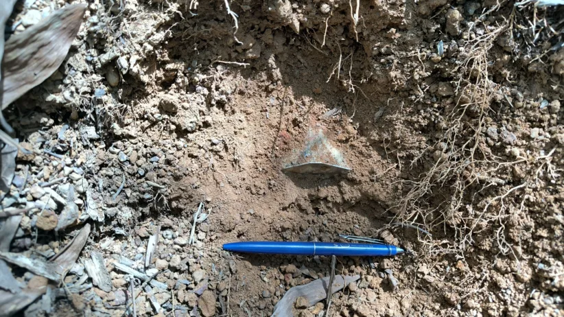 243 NPA Hue An M39 cluster munition was found during the technical survey 310725