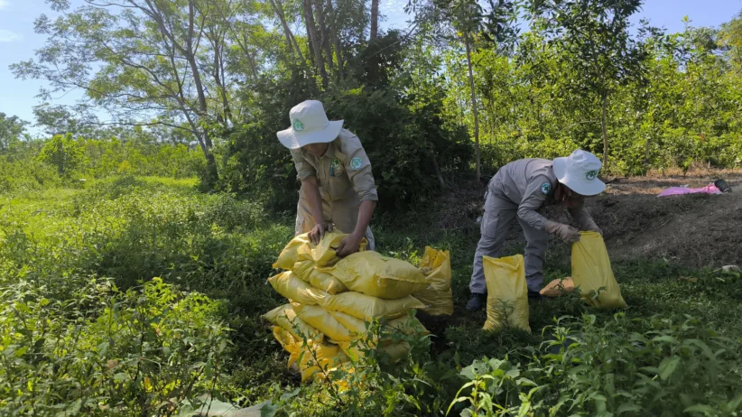 243 NPA Hue The team built a sand wall to protect nearby crops ahead of the demolition 310725