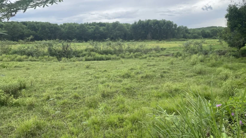 243 NPA Hue Abandoned area due to EO contamination soon become usable 310725