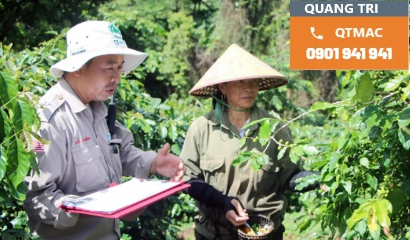 Quang Tri hotline 2
