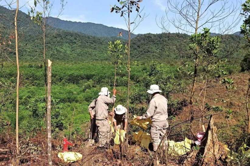 Vietnam npa 960